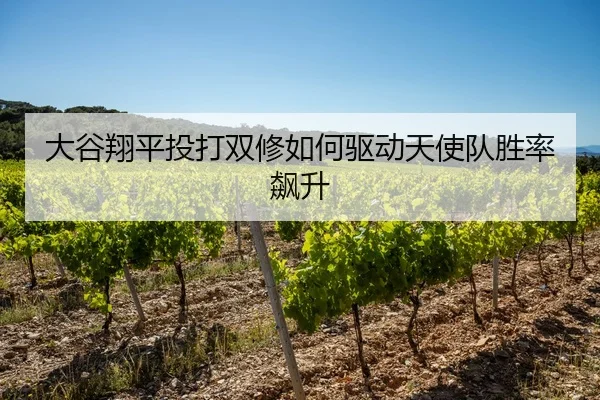 da-gu-xiang-ping-tou-da-shuang-xiu-ru-he-qu-dong-tian-shi-dui-sheng-lv-biao-sheng-3-316.jpg